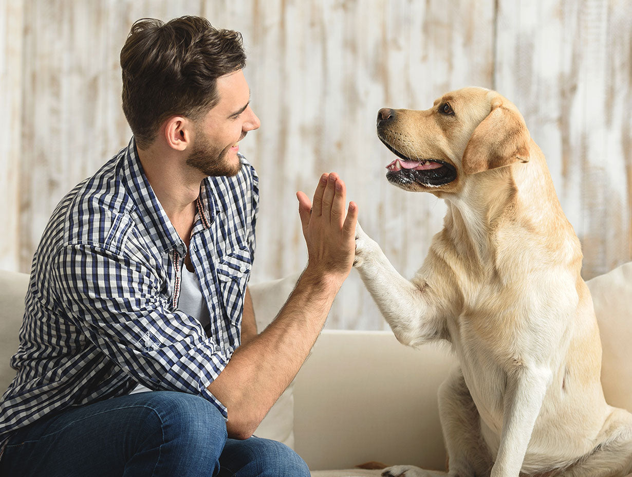 Nutritious Pet Food for Healthy Growth