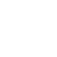 Pet Toys