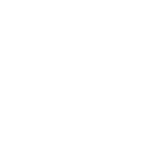 Pet Clothes