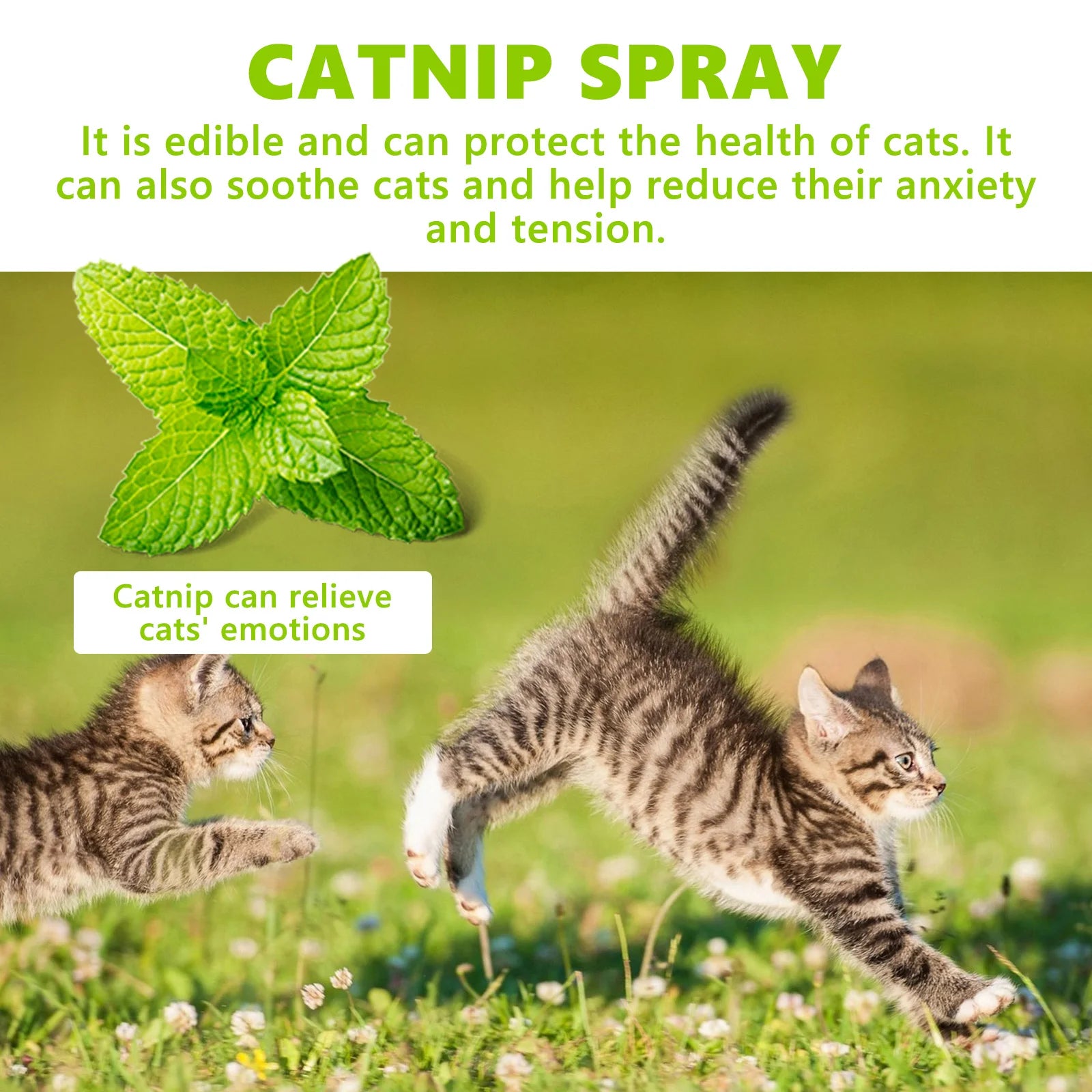 Yegbong Catnip Spray Enhance Cat Elasticity Natural Non-irritating Promote Cat Health Relief Pet Stress Fatigue Soothing Mist