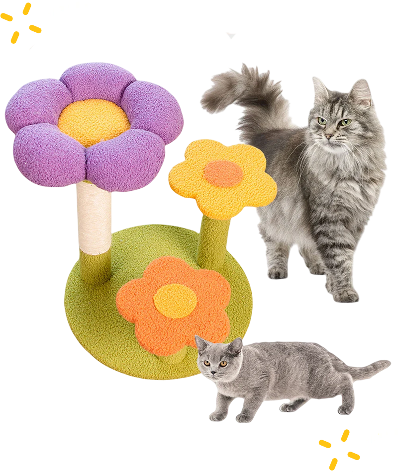 Ultimate Cat Towers