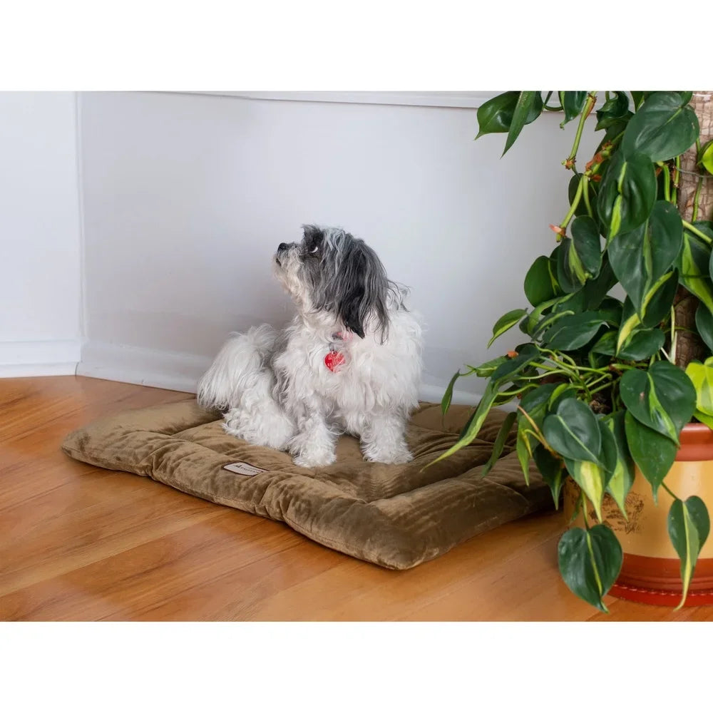 Pet Bed Mat Dogs Cats Soft Velvet Comfortable Washable Extra Thick Poly Fill Medium Size 27x19 Inches Ideal Indoor Use
