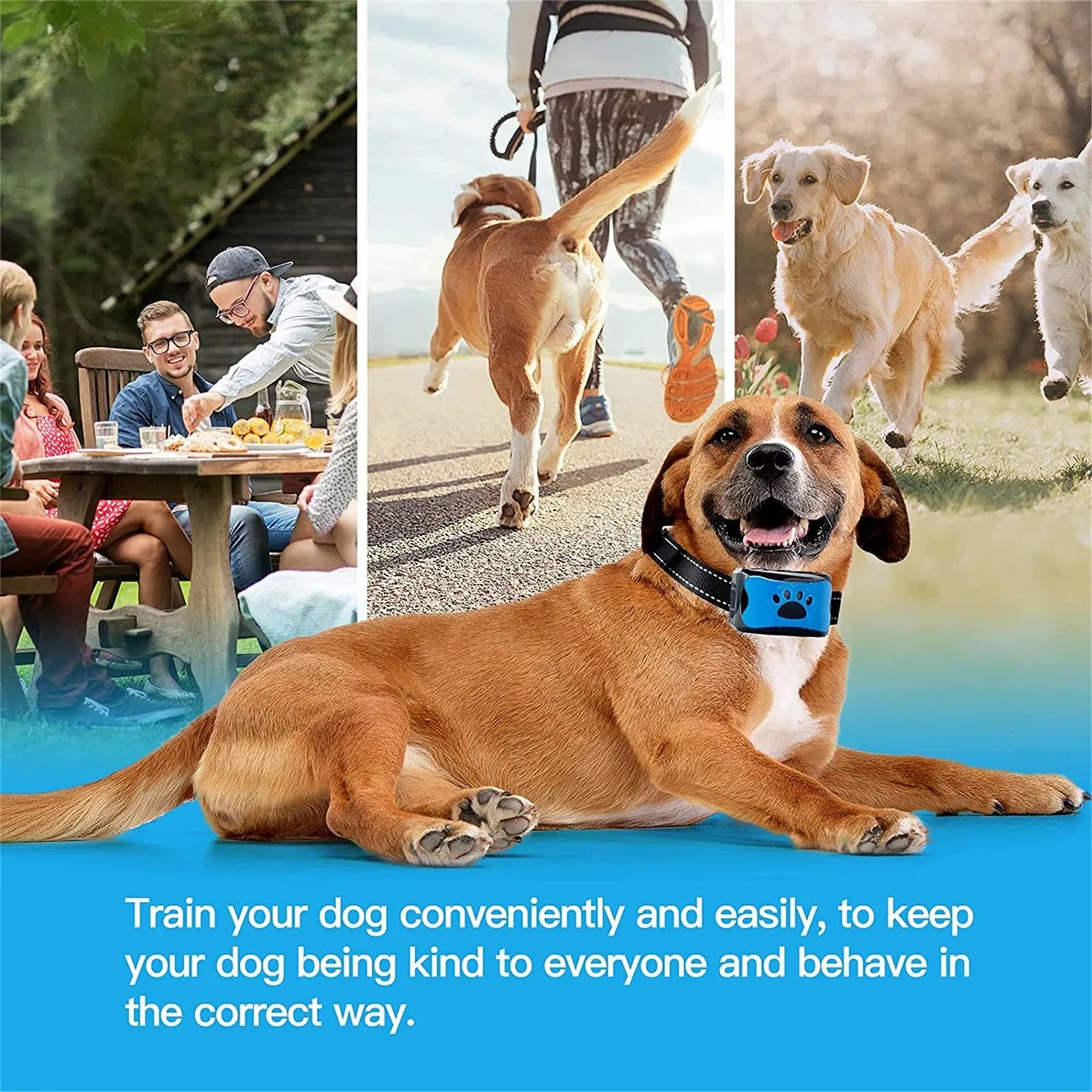 2025 Automated Dog Collars, Upgraded Dog Collars, Novel And Practical, Non-slip Wear-resistant Suitable For All Sizes Of Dogs