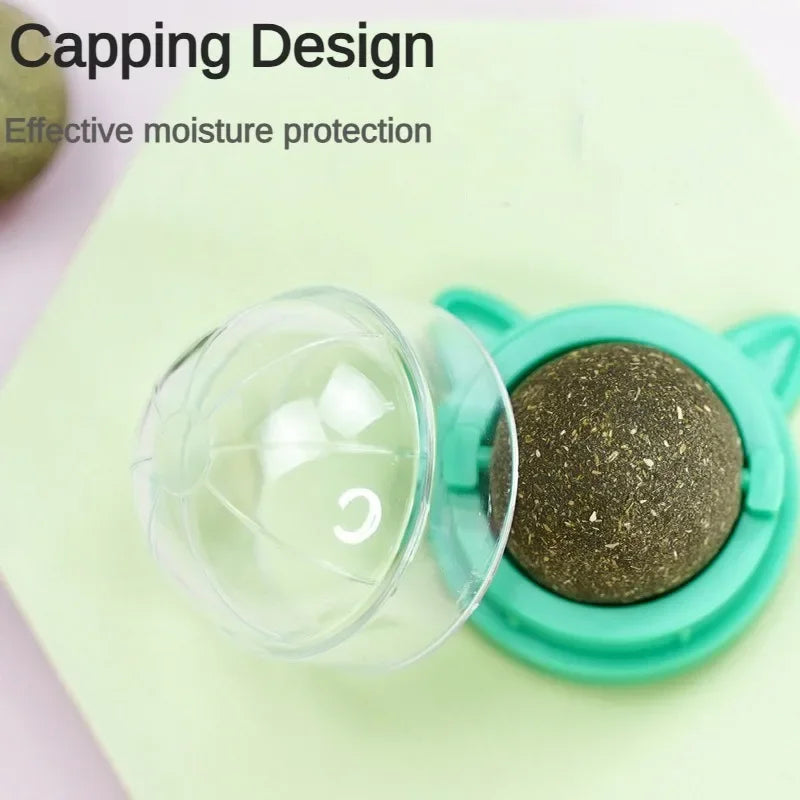 Rotating Catnip Ball Pet Teething Toy Interactive Licking Fun Rascador De Hierba Gatera Natural Para Gatos Cat Toys Cats Things