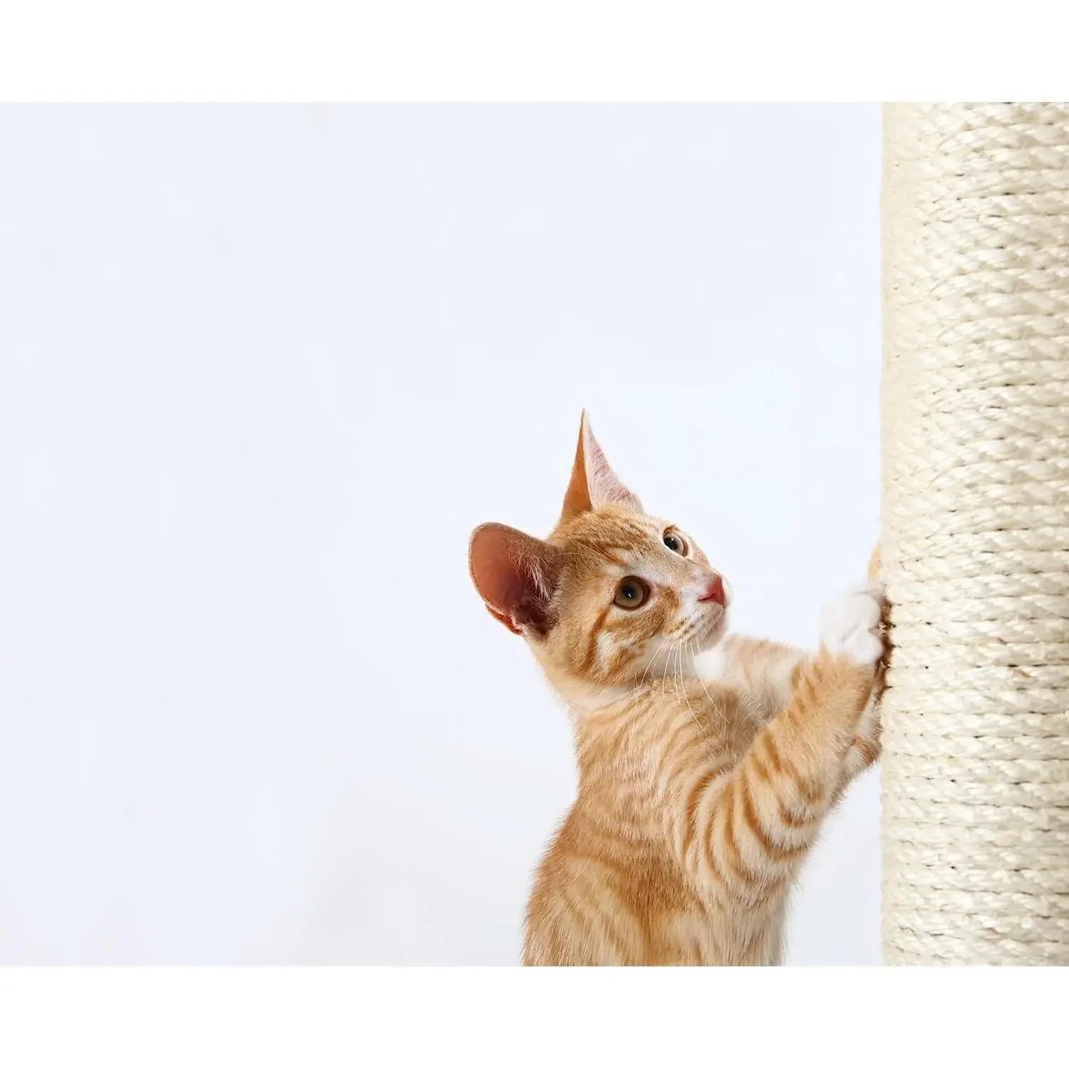 Unusual- Natural Sisal Scratching Post Replacement for Cats - Various Sizes Available, 10mm Screw Replacement for Beige