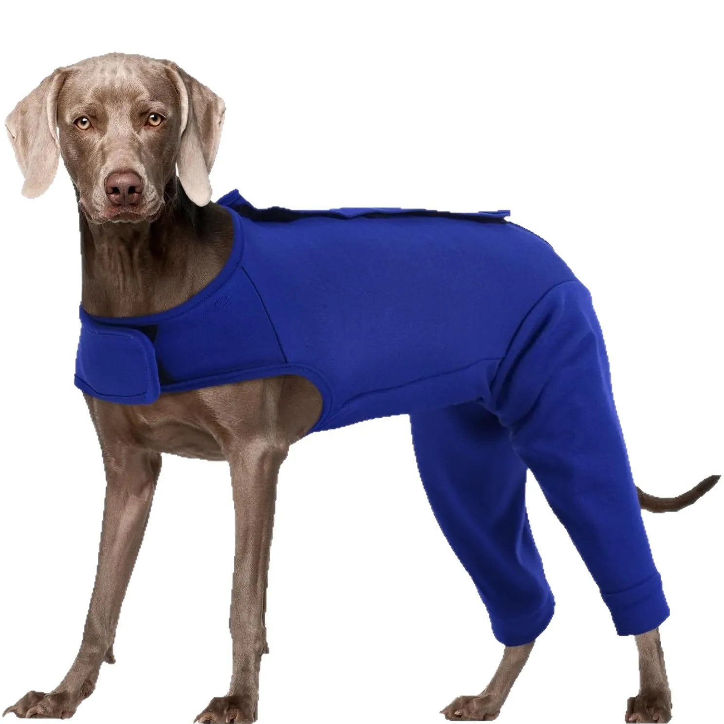Dog Recovery Suit for Rear Legs Thigh Wound Protective Sleeve Dog Recovery Sleeve Dog Onesie After Surgery  Suit for Spay Neuter