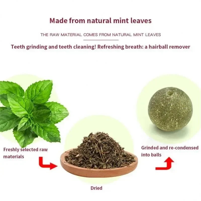 Rotating Catnip Ball Pet Teething Toy Interactive Licking Fun Rascador De Hierba Gatera Natural Para Gatos Cat Toys Cats Things