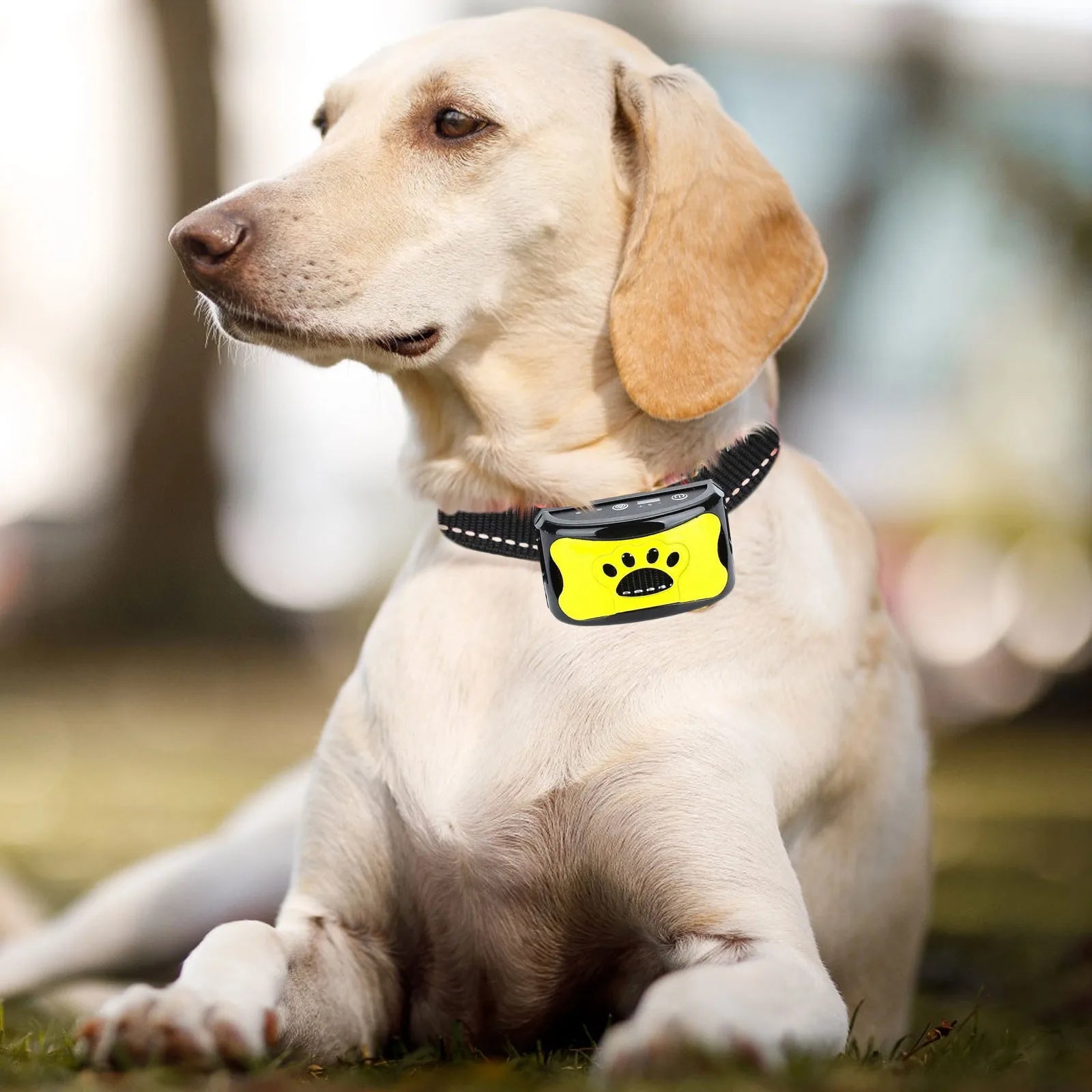 2025 Automated Dog Collars, Upgraded Dog Collars, Novel And Practical, Non-slip Wear-resistant Suitable For All Sizes Of Dogs