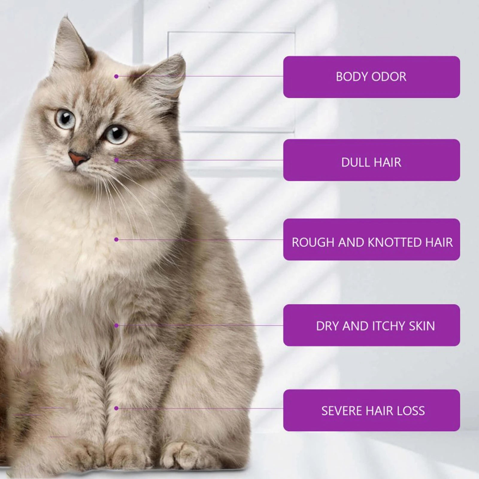 100ml Pet Shampoo And Conditioner Lavender Scent Soothe Skin Relieve Itch Deep Clean Dirt Pet Grooming Gel For Dogs And Cats