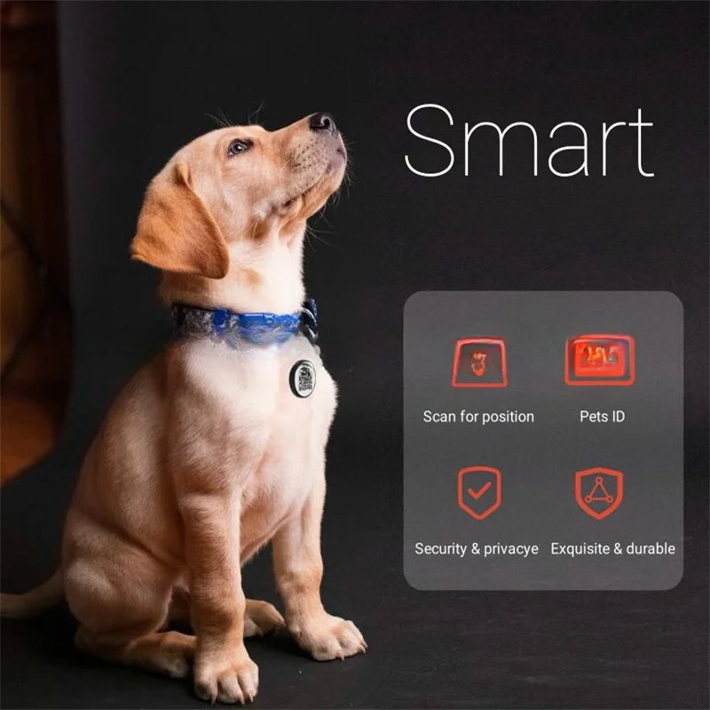QR Code Dog Tag Multi-Language Smart ID Pendant Metal Key Ring Pet Badge Cat Collar Accessories Plaque for Pets Personalized