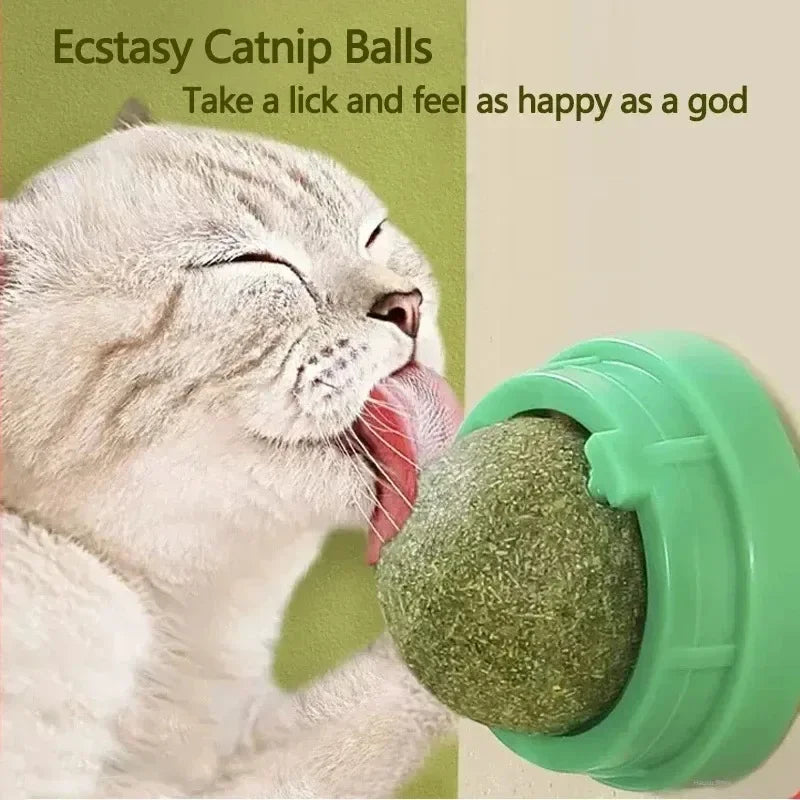 Rotating Catnip Ball Pet Teething Toy Interactive Licking Fun Rascador De Hierba Gatera Natural Para Gatos Cat Toys Cats Things
