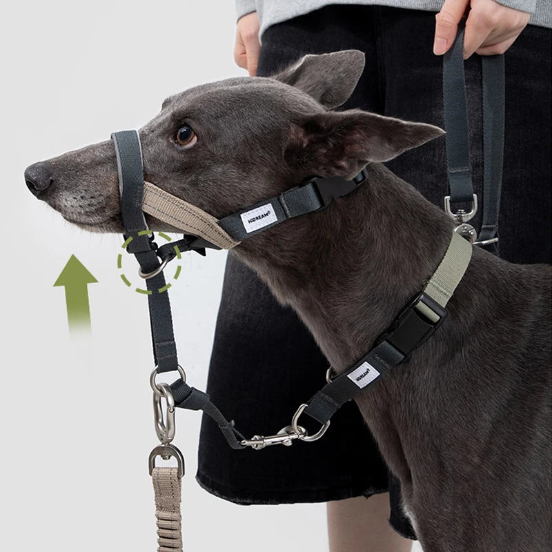 Dog Mouth Anti Barking Bark Collar Dog Adjustable Training Mesh Fabric Explosion-proof Flushing Control Traction Pet Supplies