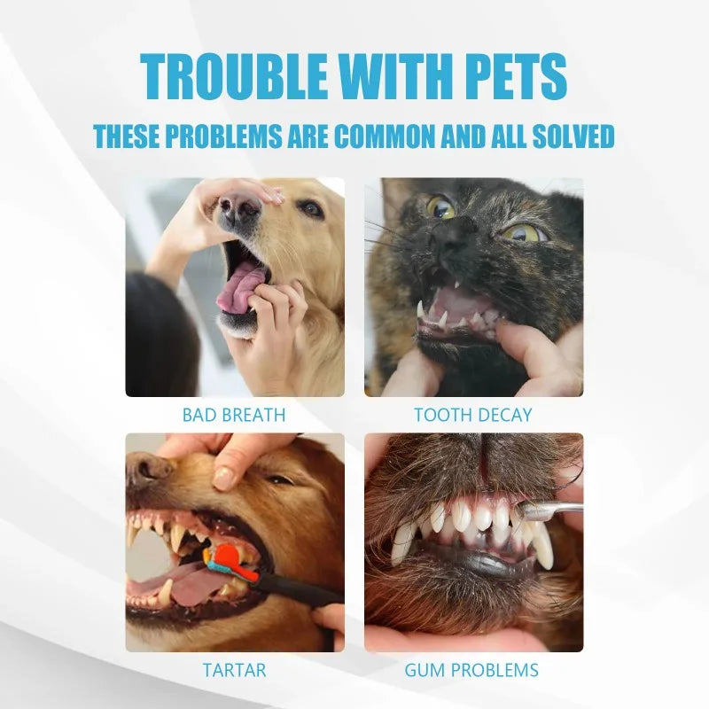Pet Toothpaste Edible Formula Tartar Control Freshens Breath Gentle Oral Cleaning Safe Daily Dental Care for Dogs Cats