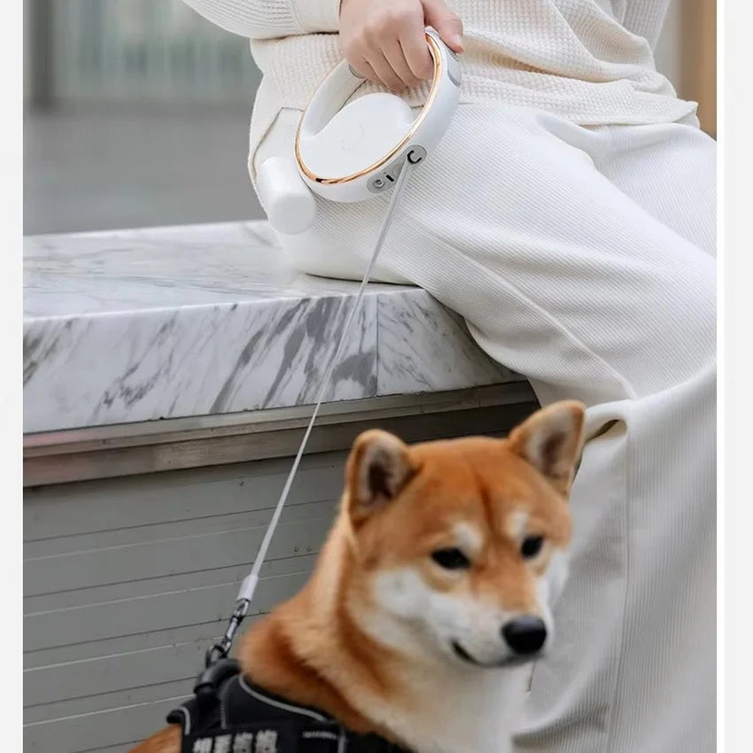 3 meters Personalized Design Dog Collars And Matching Leashes Rubber Logo Covers Dog Collar Leash Manufacturers
